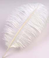 Strucctoll 55-60 cm - WHITE #2